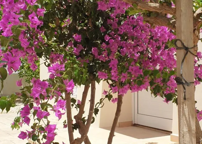 Appartamento Mythical Sands - Africa *