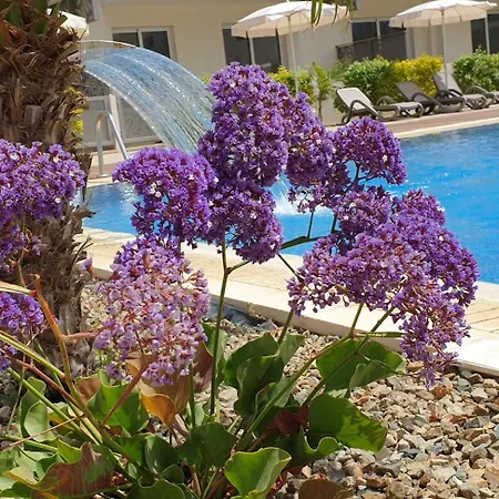 Mythical Sands - Africa * Paralimni