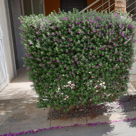 Lägenhet Mythical Sands - Africa Protaras