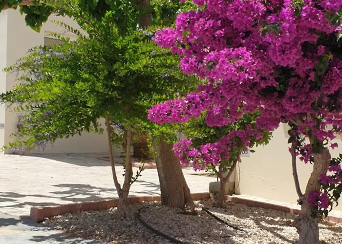 Apartment Mythical Sands - Africa *