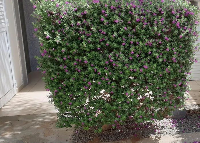 Apartment Mythical Sands - Africa Protaras